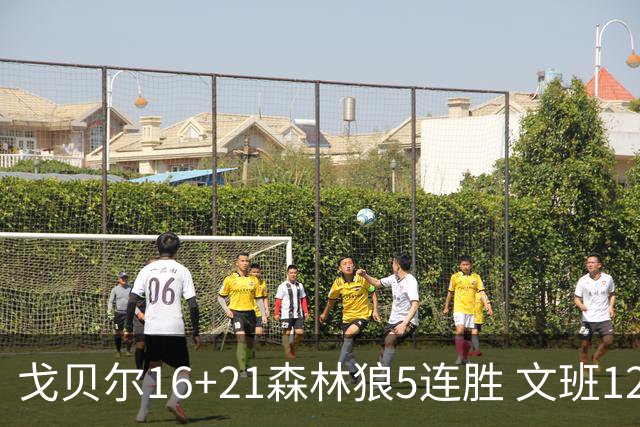 戈贝尔16+21森林狼5连胜 文班12+10马刺15连败